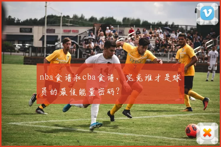 nba食谱和cba食谱，究竟谁才是球员的最佳能量密码？