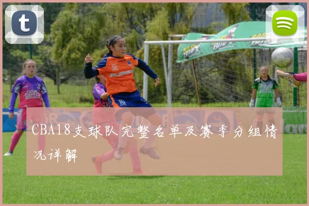 CBA18支球队完整名单及赛季分组情况详解