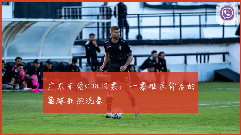 广东东莞cba门票，一票难求背后的篮球狂热现象